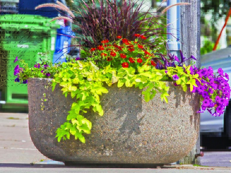 Planters